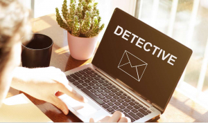 Online private investigators
